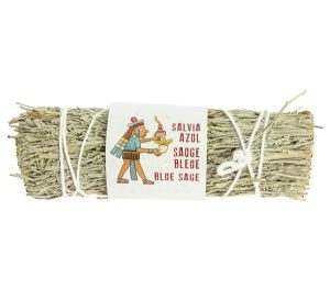 Blue Sage Bundle 8 to 10 cm.