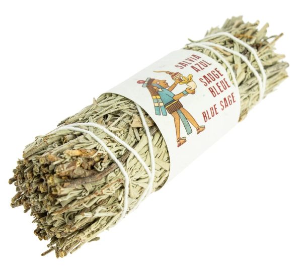 Blue Sage Bundle 8 to 10 cm.