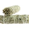 Blue Sage Bundle 8 to 10 cm.