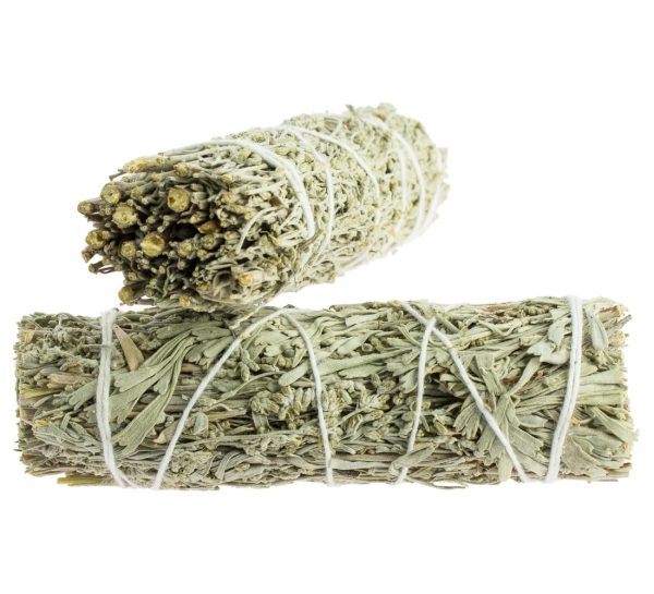 Blue Sage Bundle 8 to 10 cm.